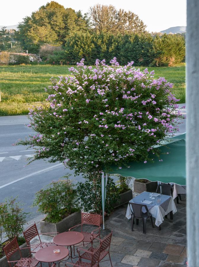 Tuscan Sun Holiday Apartments Λούκα Εξωτερικό φωτογραφία